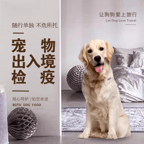 四平市宠物托运到哥伦比亚猫狗宠物入境规定和