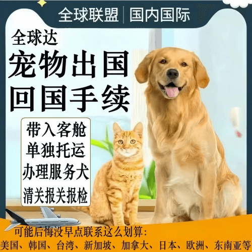 四平市宠物托运到柬埔寨宠物入境规定和要求