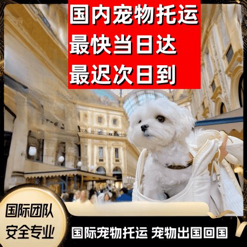 四平市到澳大利亚（澳洲）宠物入境规定和要求