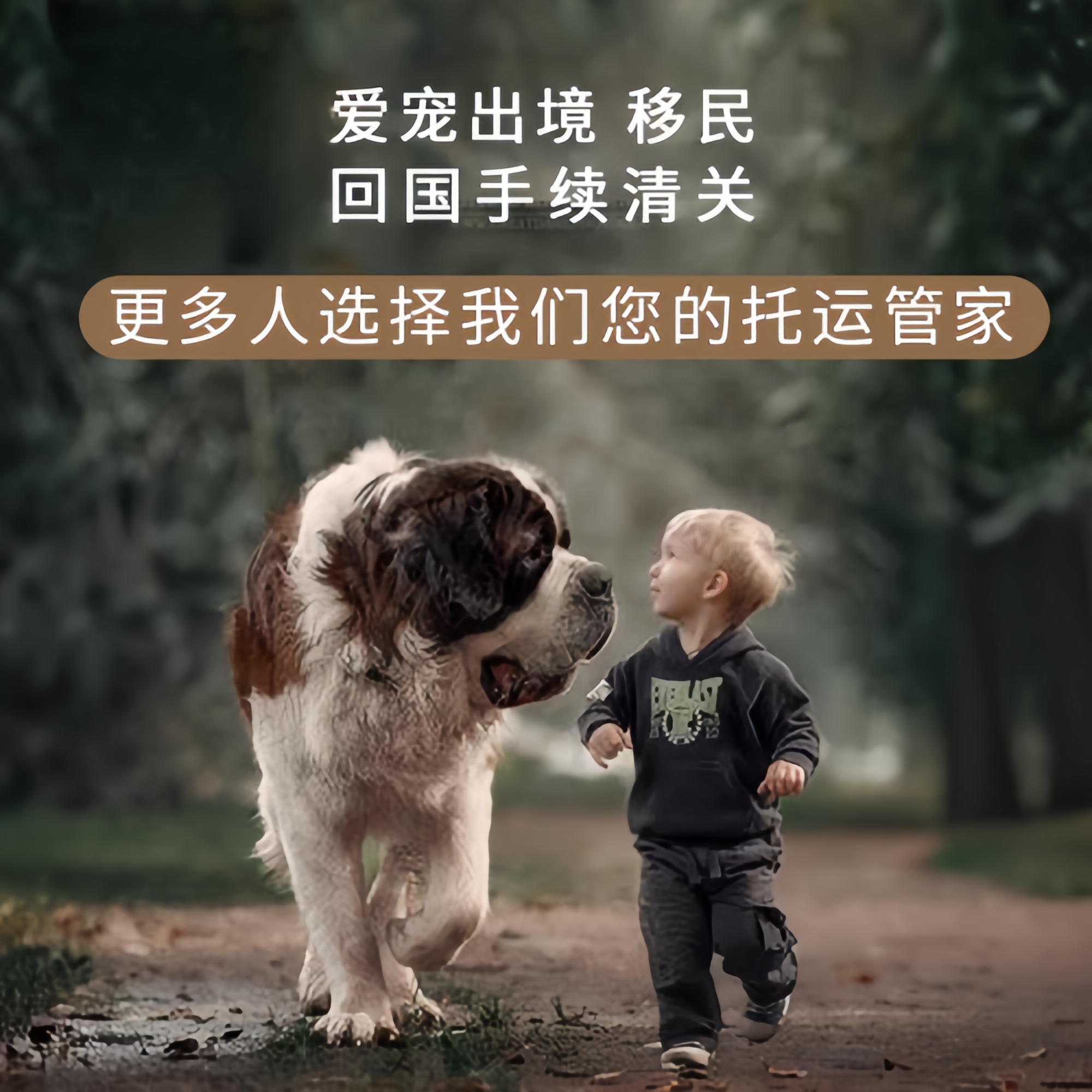 满财四平市宠物全球达宠物托运在遵守入境目的地政策的条件