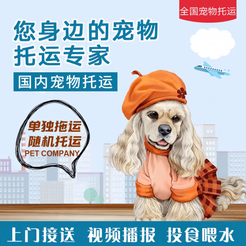 满财四平市宠物全球达宠物托运作为专业的宠物运输代理机构